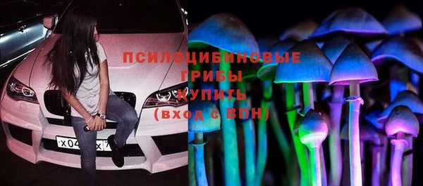 спайс Алексеевка