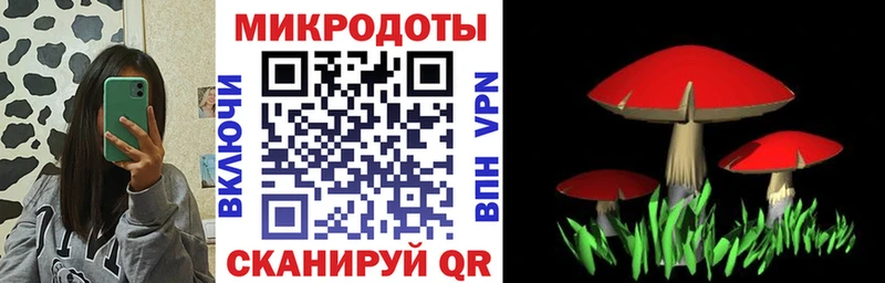 Псилоцибиновые грибы мицелий  купить   kraken   Керчь 