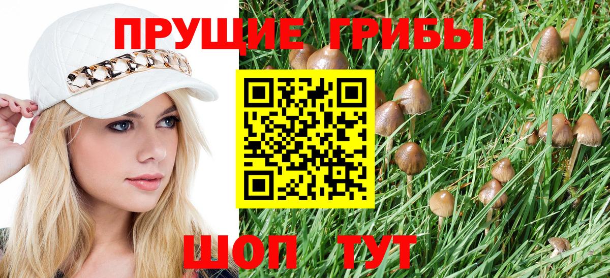 Керчь  Галлюциногенные грибы Psilocybe  Вход с VPN 